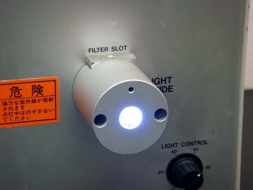 L5662-01UV SPOT LIGHT SOURCE