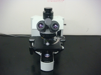 BX51N-33Microscope 