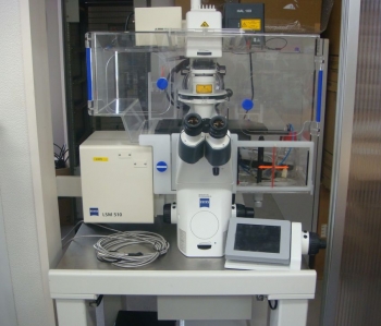 LSM510Laser Scaning Microscope